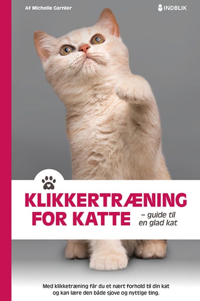 Forside-Klikkertraening-for-katte